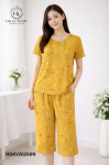 Bộ lanh tay cộc quần ngố HGKV26266N