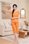 Bộ lanh cộc tay quần ngố HGKV26348N